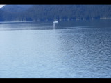 IMG_5833.JPG