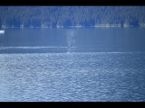 IMG_5835.JPG