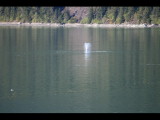 IMG_5840.JPG
