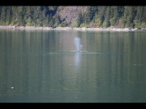 IMG_5841.JPG