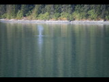 IMG_5845.JPG