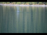 IMG_5846.JPG