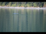 IMG_5848.JPG