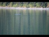 IMG_5849.JPG