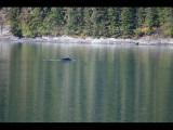 IMG_5851.JPG