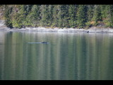 IMG_5852.JPG