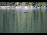 IMG_5853.JPG