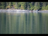 IMG_5854.JPG