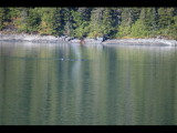 IMG_5856.JPG