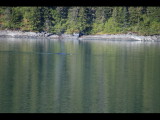 IMG_5857.JPG