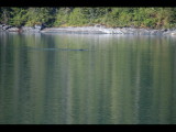 IMG_5858.JPG