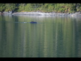 IMG_5859.JPG