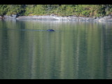 IMG_5860.JPG