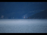 IMG_5879.JPG