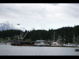 IMG_5908.JPG
