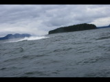 IMG_5910.JPG