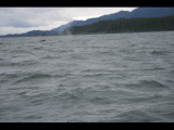 IMG_5914.JPG