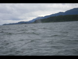IMG_5915.JPG