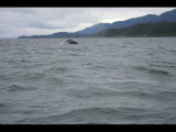 IMG_5918.JPG