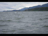 IMG_5920.JPG