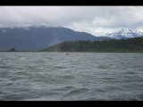 IMG_5923.JPG