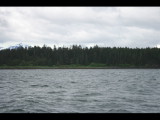 IMG_5924.JPG