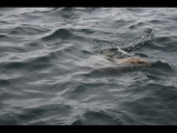 IMG_5937.JPG