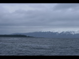 IMG_5942.JPG