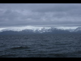 IMG_5943.JPG