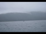 IMG_5947.JPG