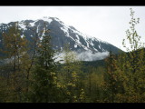 IMG_5948.JPG