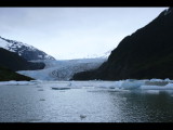IMG_5949.JPG