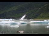 IMG_5950.JPG