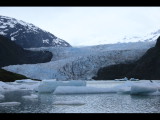 IMG_5951.JPG