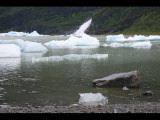 IMG_5954.JPG