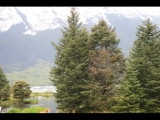 IMG_5956.JPG