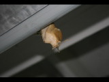 IMG_5967.JPG