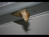 IMG_5969.JPG