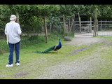 IMG_5983.JPG