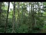 IMG_6028.JPG