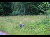 IMG_6040.JPG