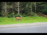 IMG_6051.JPG