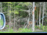 IMG_6053.JPG