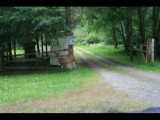 IMG_6054.JPG