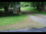 IMG_6057.JPG