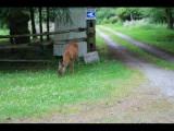 IMG_6060.JPG