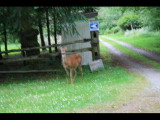 IMG_6062.JPG