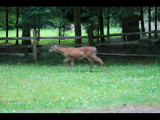 IMG_6063.JPG