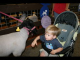 IMG_6200.JPG