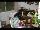 IMG_6530.JPG